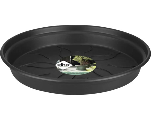 Blumentopf Untersetzer elho Green Basics Kunststoff Ø 25 H 4 cm schwarz Schwarze Pflanzenuntersetzer aus Kunststoff