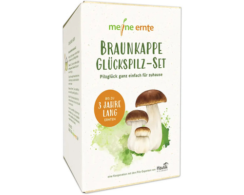 Pilzzucht Set meine ernte Braunkappe Glückspilz-Set komplettes Set mit 20 Pilzdübeln und 3 Substratblöcken aus Buchenspänen, bis zu 3 Jahre ernten, Kulturträuschling Braunkappe Glückspilz Set by Meine Ernte in Produktverpackung.