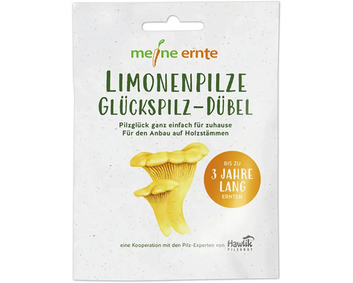 Pilzzucht Set meine ernte Limonenpilz-Dübel mit 20 Dübel für den Anbau auf Holzstämmen, bis zu 3 Jahre ernten, Zitronenseitling, Limonenseitling