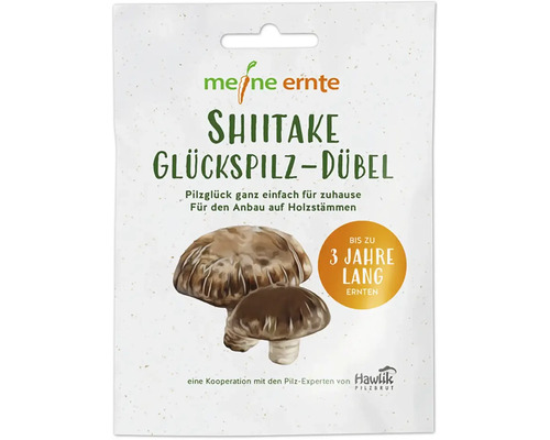 Pilzzucht Set meine ernte Shiitake-Dübel mit 20 Dübel für den Anbau auf Holzstämmen, bis zu 3 Jahre ernten, Pasaniapilz