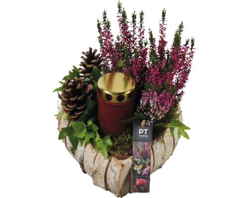 Grab Arrangement FloraSelf mit Calluna pink in Rindenherz inkl. Dekostecker LxB 17 cm