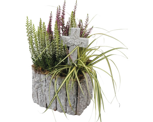 Grab Arrangement FloraSelf mit Calluna bunt in Rindenherz inkl. und Dekostecker LxB 16 cm