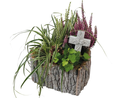 Grab Arrangement FloraSelf mit Calluna bunt in Rindenherz inkl. und Dekostecker LxB 23 cm