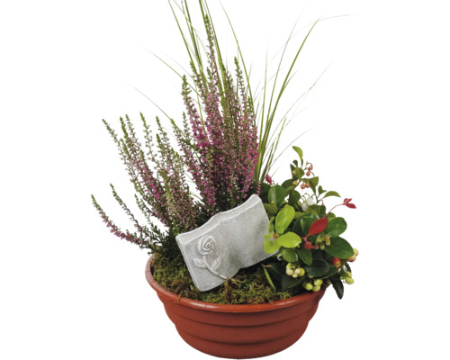 Grab Arrangement FloraSelf mit Gaultheria und und Dekostecker Ø 21 cm Pflanzschale Kunststoff