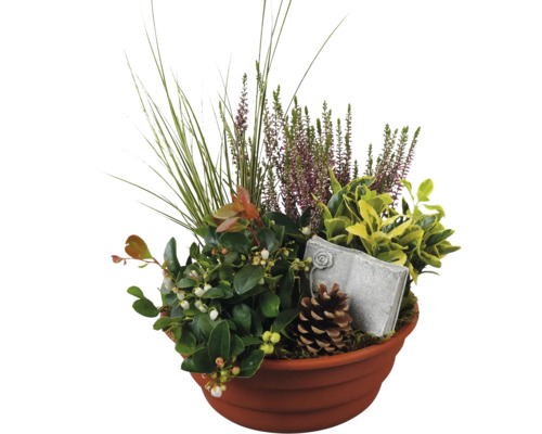 Grab Arrangement FloraSelf mit Gaultheria und und Dekostecker Ø 25 cm Pflanzschale Kunststoff