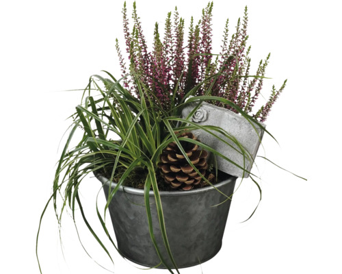 Grab Arrangement FloraSelf mit Calluna rosa, Ziergras und Dekostecker Ø 19 cm Zinktopf