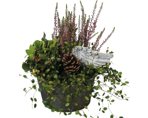 Grab Arrangement FloraSelf mit Gaultheria, Calluna und Dekostecker Ø 22 cm Zinktopf