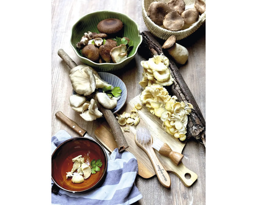 Verschiedene Pilzsorten in Schalen und auf einem Schneidebrett mit Pilzbürsten