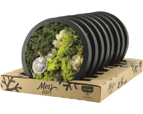 Moosbild in schwarzem Rahmen auf Kartonverpackung