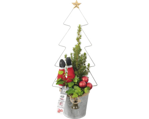 Arrangement Mini Weihnachtsbaum FloraSelf H ca. 40 cm Ø 13 cm Zinktopf