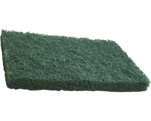 Scheuerschwamm für Reinigungsarbeiten