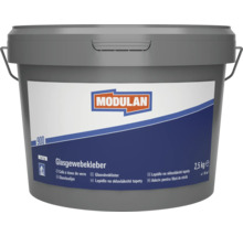 MODULAN 900 Glasgewebekleber 2,5 kg