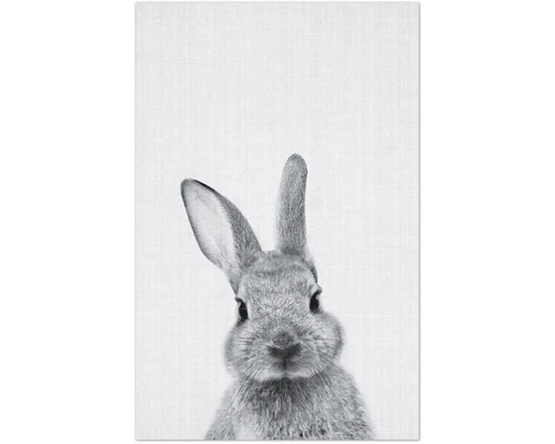 Dekomagnete Print 48 8,5x5,5 cm
