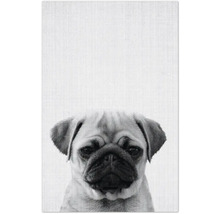Dekomagnete Print 44 8,5x5,5 cm