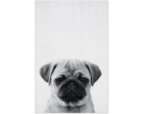 Dekomagnete Print 44 8,5x5,5 cm
