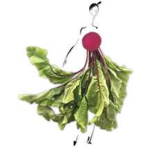 Dekomagnete Beet 8,5x5,5 cm