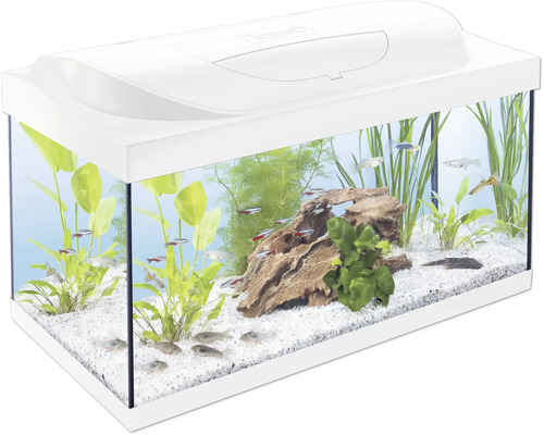 Aquarium Tetra Kleine Forscher Club inkl. Abdeckung weiß mit LED Beleuchtung 10 W, Innenfilter, Heizstab, Rückwandfolie, Futter, Wasseraufbereiter, Fangnetz ca. 54 L, ca. 61 x 31 x 30,8 cm