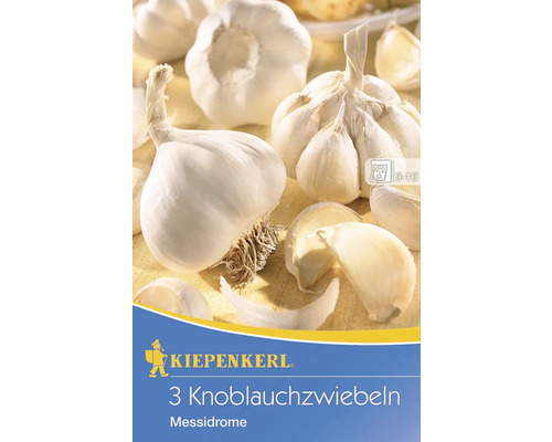 Steckzwiebeln Sperli Knoblauch 'Messidrome' 3 Stk