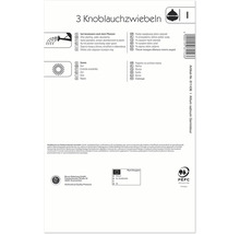 Steckzwiebeln Sperli Knoblauch 'Germidour' 3 Stk