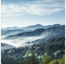 Nebelverhangene Berglandschaft mit bewaldeten Hängen