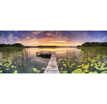 Holzsteg an einem See mit Seerosen und Schilf