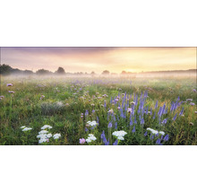 Blumenwiese mit Morgennebel und Sonnenaufgang