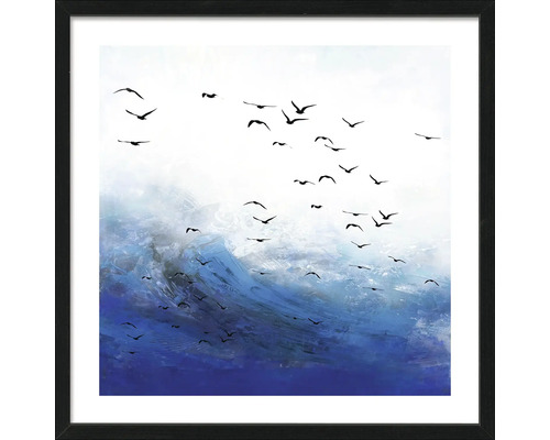 Gerahmtes Bild Seagulls Over The Sea I 53x53 cm