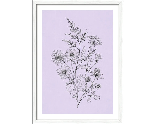 Gerahmtes Bild Flowers On Purple Color 53x73 cm