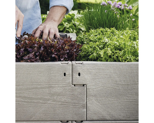 Person bepflanzt Hochbeet mit Salat und Schnittlauch