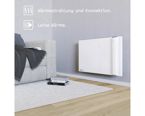 Wohnzimmer mit Heizkörper an der Wand, Sofa und Teppich