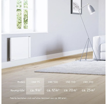 Wohnzimmer mit Elektroheizung an der Wand, Stehlampe und Teppich