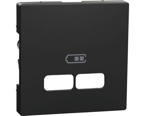 Merten MEG4367-0403 Zentralplatte für USB Ladestation-Einsatz System M schwarz/matt Schalterblende mit Batteriesymbol und zwei Aussparungen