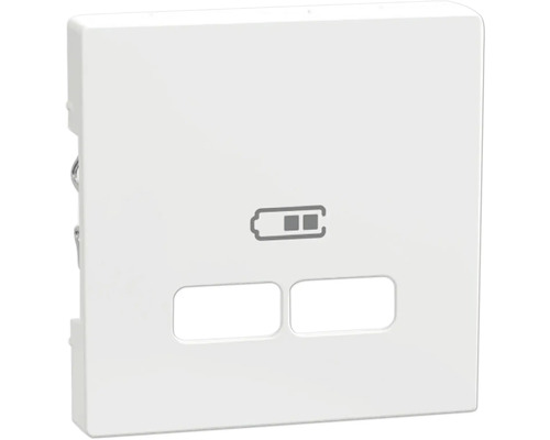 Merten MEG4367-0325 Zentralplatte für USB Ladestation-Einsatz System M weiß/glänzend Batterieladezustandsanzeige mit zwei Aussparungen