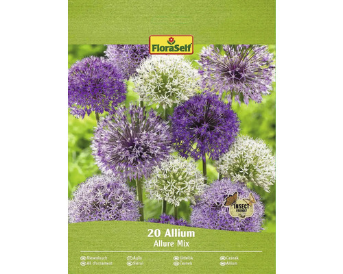 Blumenzwiebel Zierlauch FloraSelf ' Allium Deco ' 20 Stück