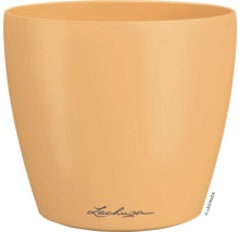Blumentopf CLASSICO Color DECO 14 Lechuza Kunststoff 13,7 x 13,7 x 15,2 cm papaya