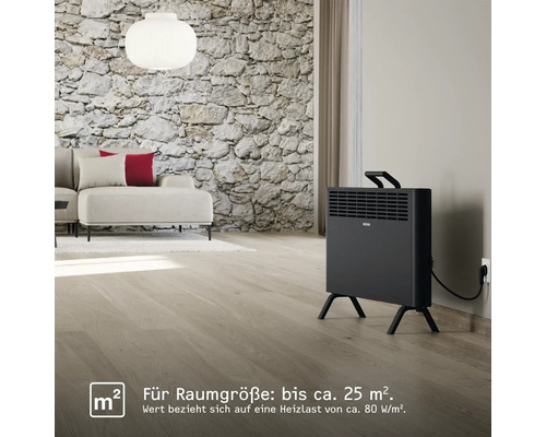 Wohnzimmer mit Heizgerät, Sofa und Steinwand