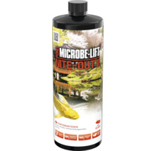 Microbe Lift Nite Out II Bakterien für Teiche