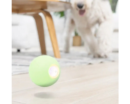 Interaktiver Ball für Hunde mit Hund im Hintergrund