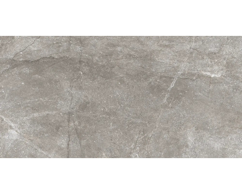 Wand- und Bodenfliese Wells moka matt 60x120cm Wand- und Bodenfliese Wells moka matt 60x120cm