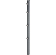 Pfosten ALBERTS Klemmlasche für Doppelstabmatte 6 x 4 x 150 cm anthrazit