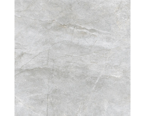 Wand- und Bodenfliese Wells pearl matt 120x120cm