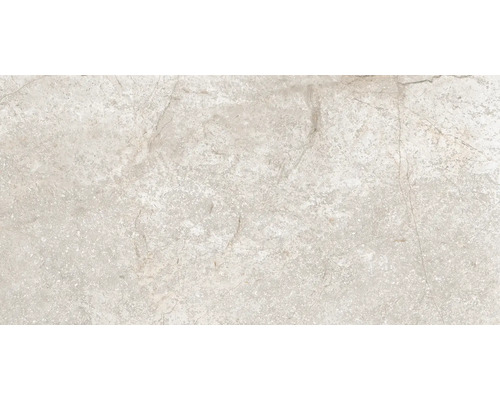 Wand- und Bodenfliese Wells sand matt 30x60cm