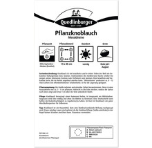 Informationen zum Anbau von Messidrome Pflanzknoblauch