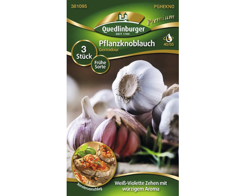 Pflanzknoblauch der Sorte Germidour, 3 Stück