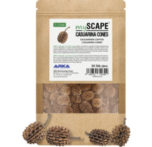 MyScape Casuarina Zapfen zur Wasseraufbereitung und Dekoration für Süßwasseraquarien, 50 Stück