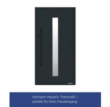 Hörmann Haustür Thermo65 1100 x 2100 mm Motiv 610S RAL 7016 anthrazitgrau DIN Links