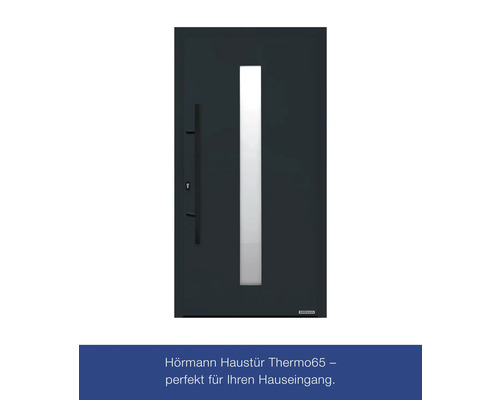 Haustür mit Glaseinsatz und Griff