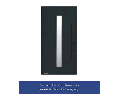 Haustür mit Glaseinsatz und Griff