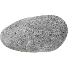 Einzelner Pflasterstein
