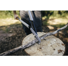 Eine Person schneidet einen Ast mit einer Astschere auf einem Baumstumpf